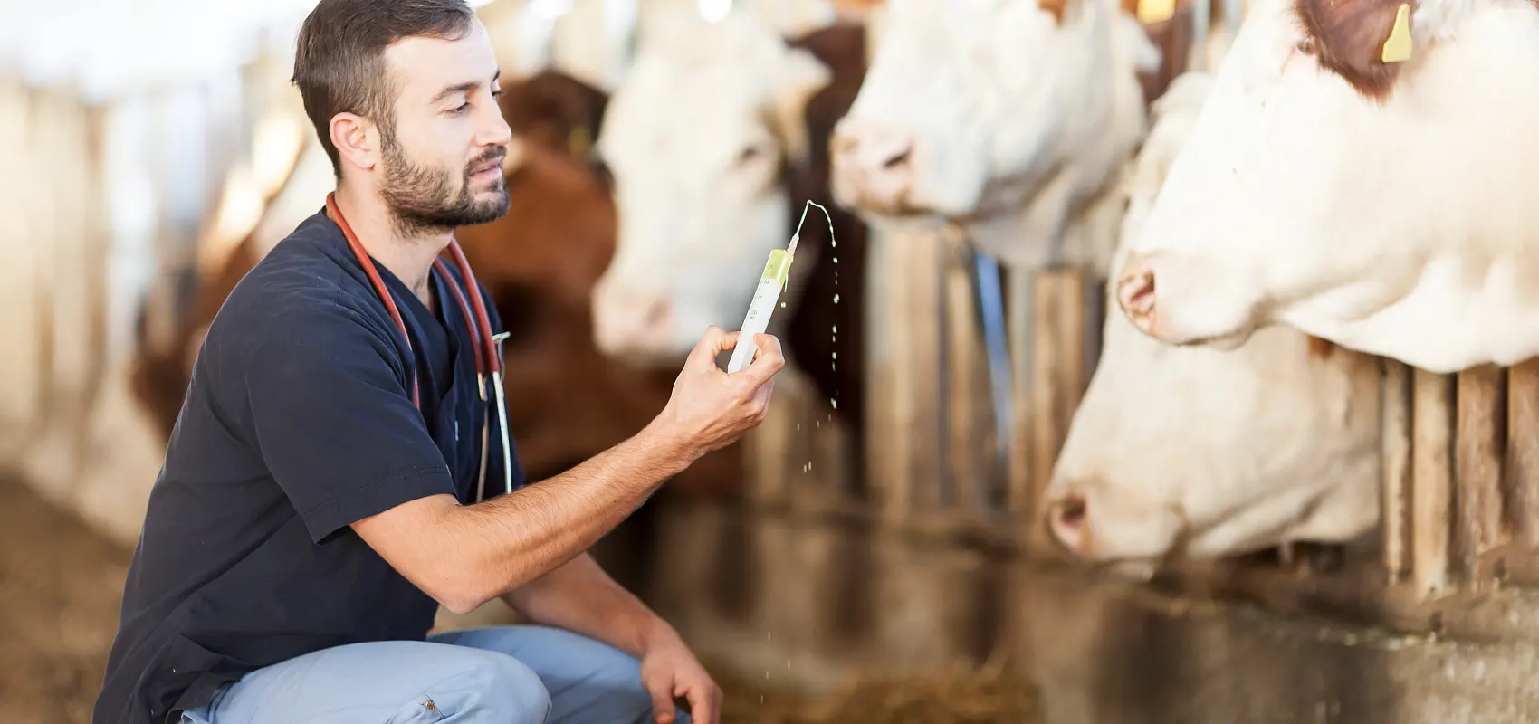 Vad är djurhållningsveterinärutbildning?