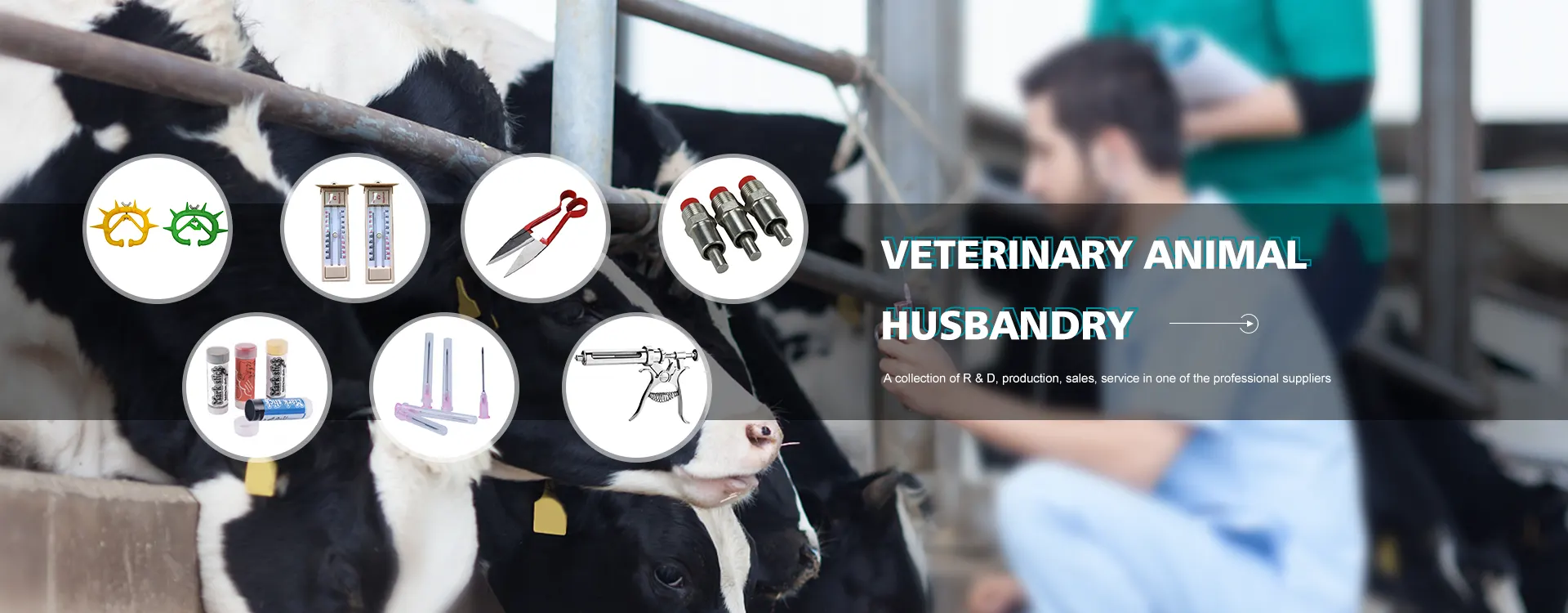 Leverantörer av veterinära verktyg